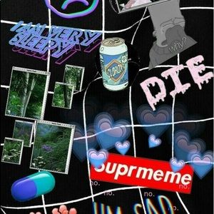 Meet your Posher, Heidi